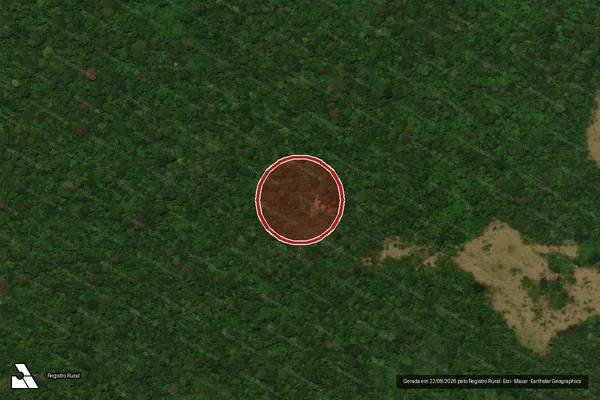 Imagem de satélite de Desmatamento em Brasiléia - AC