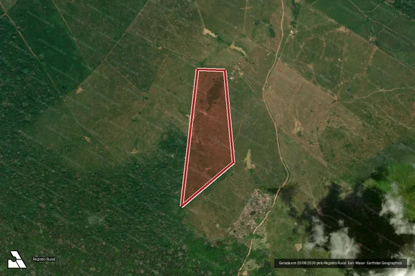 Imagem de satélite de Infração da Flora em Boca do Acre - AM
