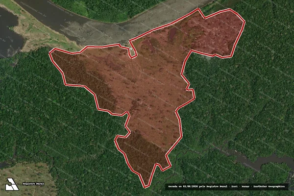 Imagem de satélite de Infração da Flora em Autazes - AM