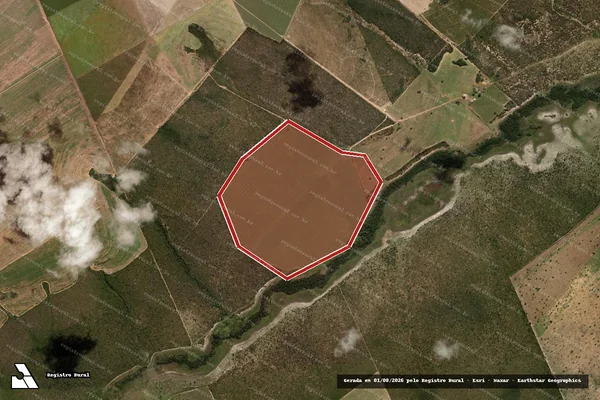 Imagem de satélite de Infração de Biopirataria(Não Classificada-Móvel) em Jaborandi - BA