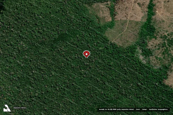 Imagem de satélite de Infração Ambiental em Altamira - PA (marcador da localização)