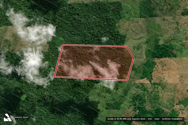 Imagem de satélite de Infração da Flora em Pacajá - PA