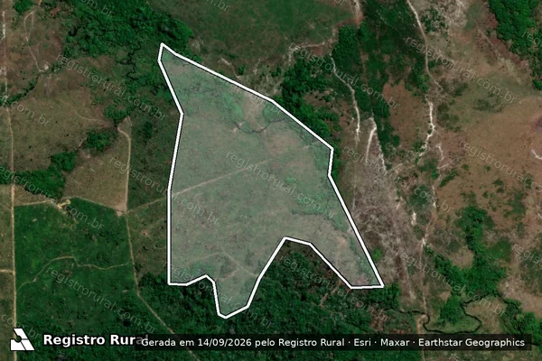 Imagem de satélite de Infração Ambiental em Apuí - AM