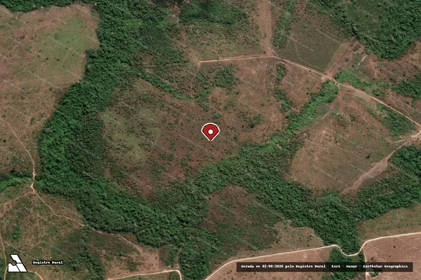 Imagem de satélite de Infração Ambiental em Novo Progresso - PA (marcador da localização)