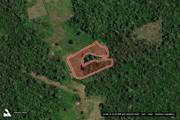 Imagem de satélite de Infração Ambiental em Senador José Porfírio - PA