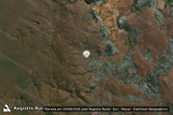 Imagem de satélite de Infração da Flora em São João das Missões - MG (marcador da localização)