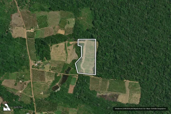 Imagem de satélite de Infração da Flora em Presidente Figueiredo - AM