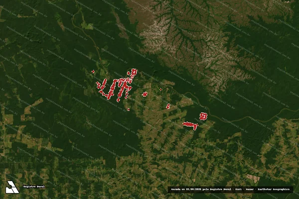 Imagem de satélite — Embargo IBAMA — Infração da Flora - Machadinho D'Oeste/RO