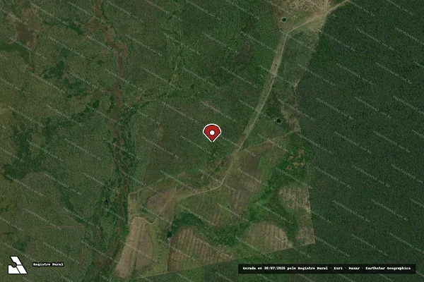 Imagem de satélite de Infração da Flora em Corumbá - MS (marcador da localização)
