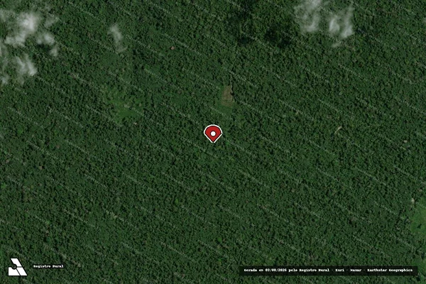 Imagem de satélite de Infração da Flora em Santarém - PA (marcador da localização)