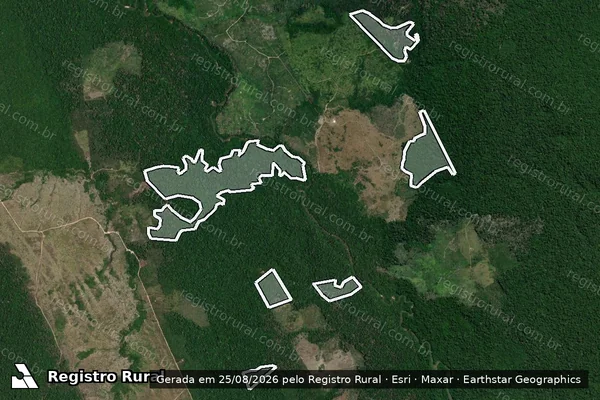 Imagem de satélite de Infração da Flora em Rondon do Pará - PA