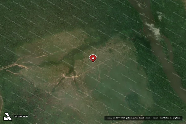 Imagem de satélite de Infração da Flora em Novo Progresso - PA (marcador da localização)