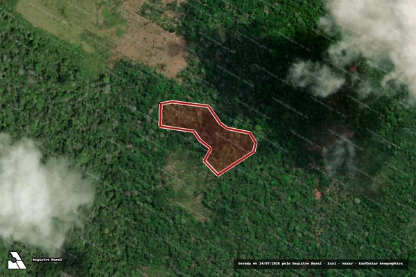 Imagem de satélite — Embargo IBAMA — Infração da Flora - Laranjal do Jari/AP
