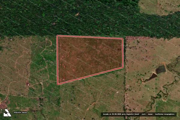 Imagem de satélite — Embargo IBAMA — Infração da Flora - Cacaulândia/RO