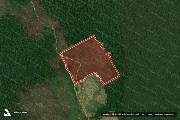 Imagem de satélite de Infração Ambiental em Manicoré - AM
