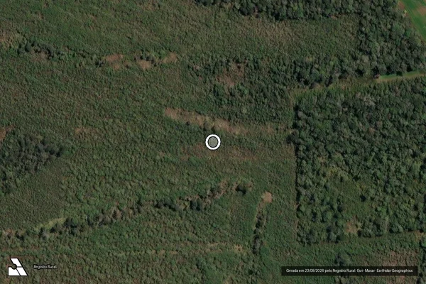 Imagem de satélite de Infração Ambiental em Paulo Frontin - PR