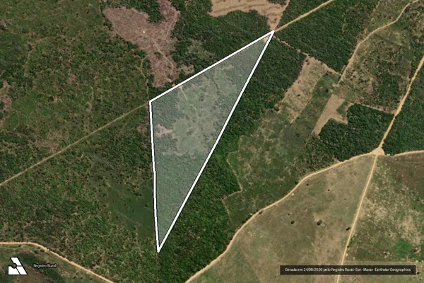 Imagem de satélite de Infração da Flora em Ribeirão do Largo - BA