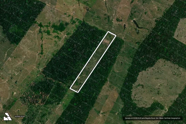 Imagem de satélite de Infração da Flora em Manoel Urbano - AC