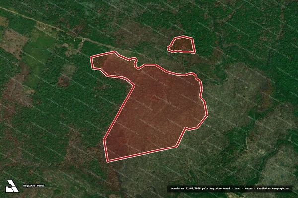 Imagem de satélite de Infração da Flora em Careiro da Várzea - AM