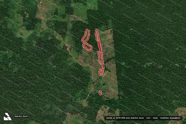 Imagem de satélite de Infração da Flora em Óbidos - PA