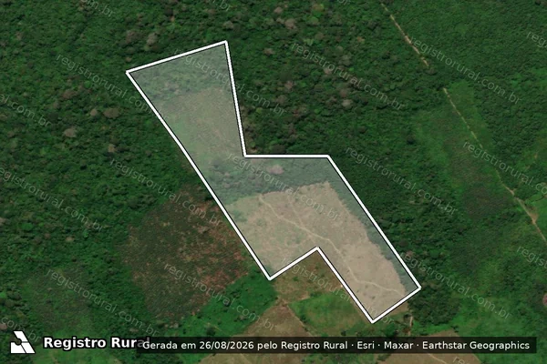 Imagem de satélite de Infração da Flora em São Luiz - RR