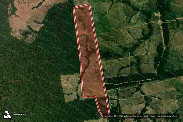 Imagem de satélite — Embargo IBAMA — Infração da Flora - Nova Monte Verde/MT