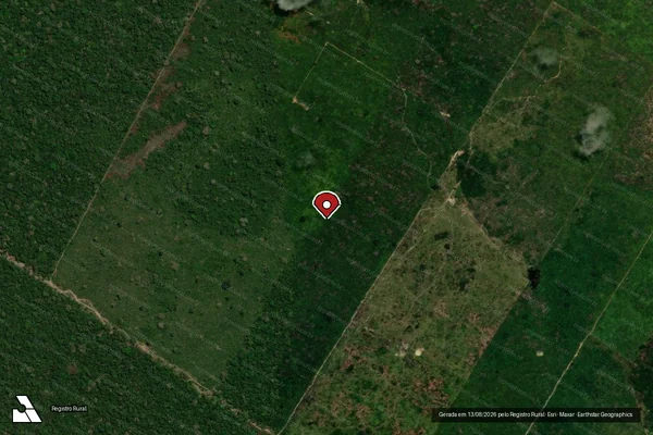 Imagem de satélite de Infração Ambiental em Porto Velho - RO (marcador da localização)