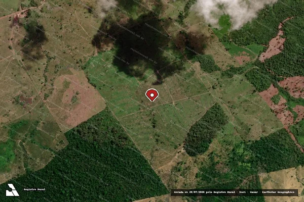 Imagem de satélite de Infração da Flora em Vila Rica - MT (marcador da localização)
