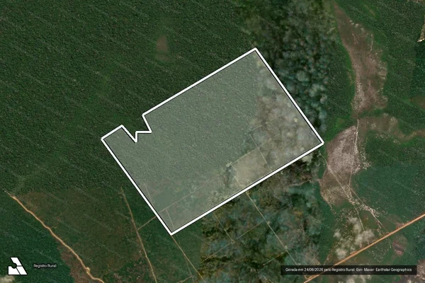 Imagem de satélite de Infração Ambiental em Novo Aripuanã - AM