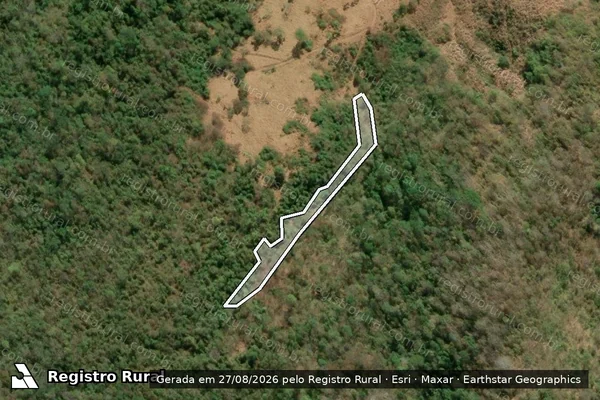 Imagem de satélite de Infração da Flora em Laranja da Terra - ES