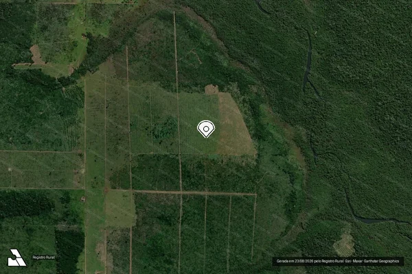 Imagem de satélite de Infração da Flora em Porto Velho - RO (marcador da localização)