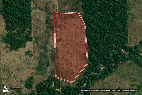 Imagem de satélite de Infração da Flora em Colniza - MT