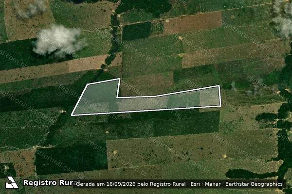 Imagem de satélite — Embargo IBAMA — Infração da Flora - Porto Velho/RO