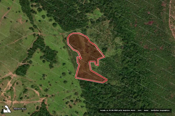 Imagem de satélite de Infração da Flora em Rio Verde de Mato Grosso - MS