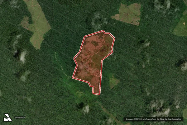 Imagem de satélite de Infração da Flora em Boca do Acre - AM
