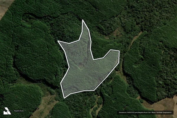 Imagem de satélite de Infração Ambiental em Passos Maia - SC