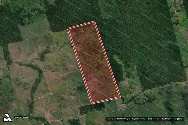 Imagem de satélite de Infração da Flora em Novo Progresso - PA