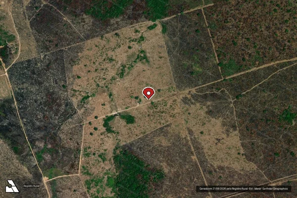 Imagem de satélite de Infração da Flora em Altamira - PA (marcador da localização)