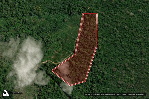 Imagem de satélite de Infração Ambiental em Colniza - MT