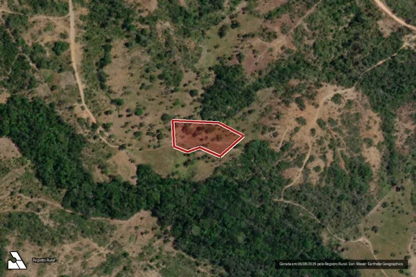 Imagem de satélite — Embargo IBAMA — Infração Ambiental - Neópolis/SE
