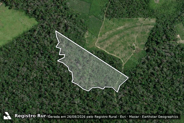 Imagem de satélite de Infração da Flora em Santarém - PA