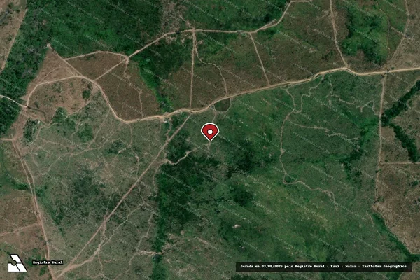 Imagem de satélite de Infração da Flora em Altamira - PA (marcador da localização)