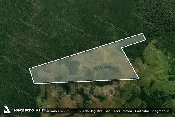 Imagem de satélite de Infração da Flora em Altamira - PA