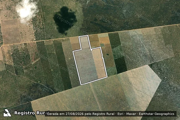 Imagem de satélite de Infração da Flora em São Desidério - BA