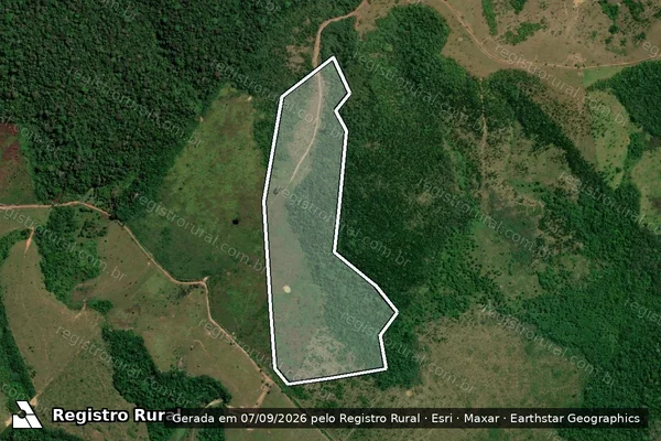 Imagem de satélite de Infração da Flora em Apuí - AM