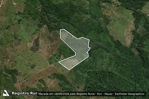 Imagem de satélite — Embargo IBAMA — Infração da Flora - Itaituba/PA