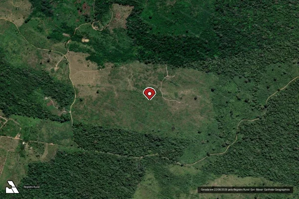 Imagem de satélite de Infração Ambiental em Senador José Porfírio - PA (marcador da localização)