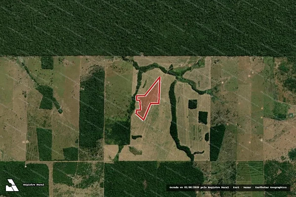 Imagem de satélite de Infração Ambiental em Costa Marques - RO