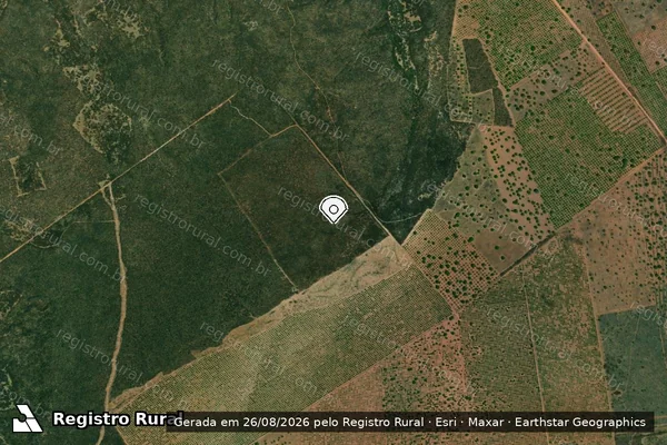 Imagem de satélite — Embargo IBAMA — Infração da Flora — Severiano Melo/RN