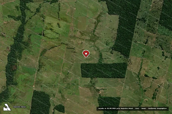Imagem de satélite de Infração Ambiental em São Francisco do Guaporé - RO (marcador da localização)
